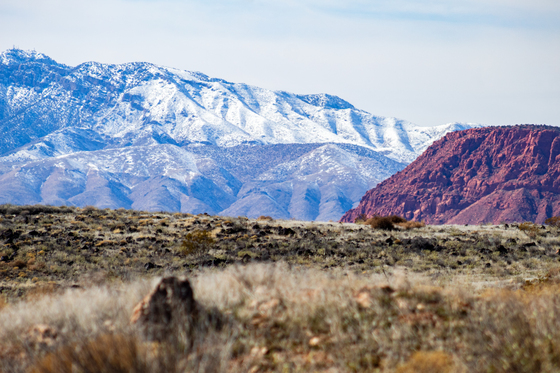 Red Cliffs National Conservation Area