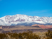Red Cliffs National Conservation Area