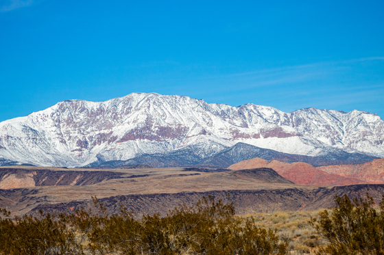 Red Cliffs National Conservation Area