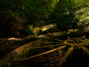 Great Smoky Mountains National Park