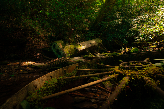 Great Smoky Mountains National Park