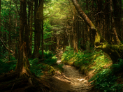 Great Smoky Mountains National Park