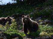 Glacier National Park 