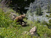 Glacier National Park 