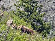 Glacier National Park 