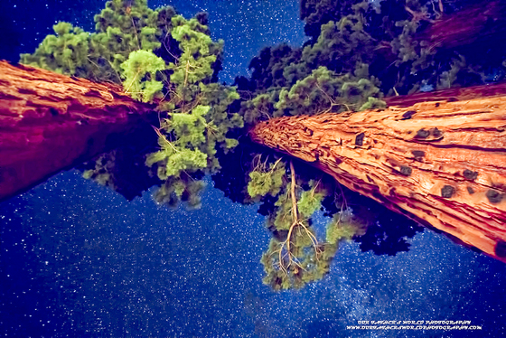 Sequoia National Park