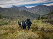 Denali National Park