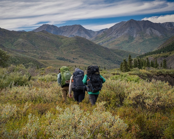 Denali National Park