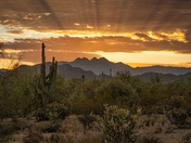 Tonto National Forest
