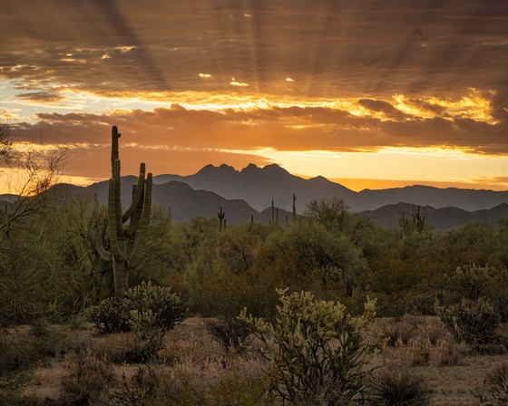 Tonto National Forest