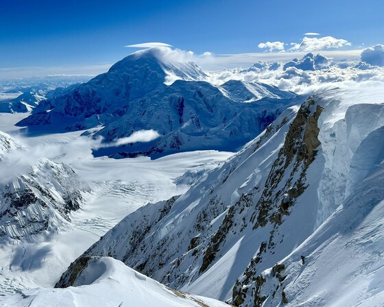 Denali National Park