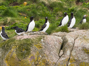 Which one doesn't belong?