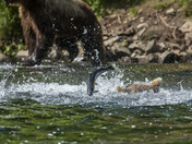 Lake Clark National Park and Preserve