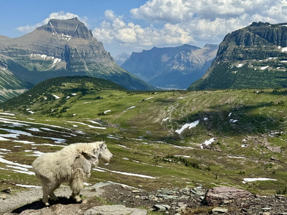 Glacier National Park
