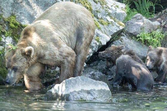 Lake Clark National Park and Preserve