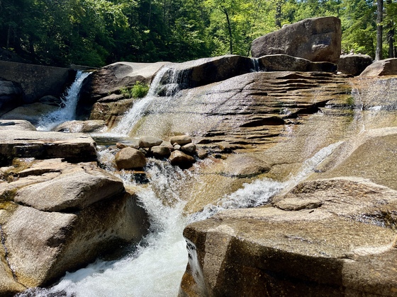 White Mountains National Forest