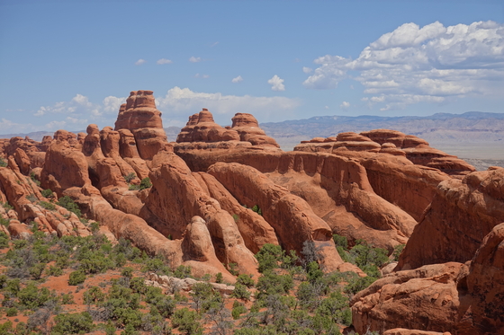 Arches National Park
