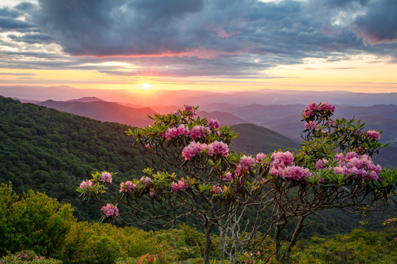 Blue Ridge Parkway