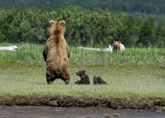 Katmai National Park