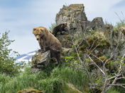 Katmai National Park