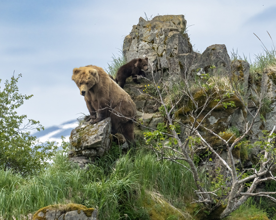 Katmai National Park