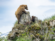 Katmai National Park