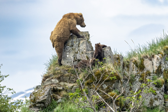 Katmai National Park