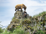 Katmai National Park