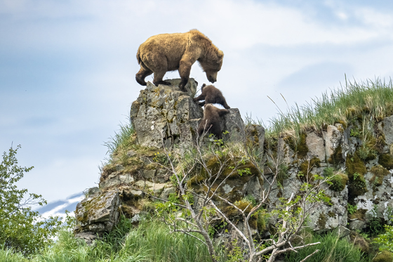 Katmai National Park