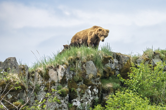Katmai National Park
