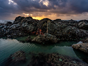 Redwood National Park