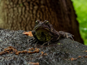 First State National Historic Park - Brandywine Valley