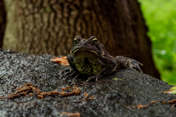 First State National Historic Park - Brandywine Valley