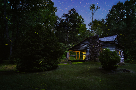Great Smoky Mountains National Park