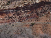 Capitol Reef National Park 