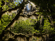 Olympic National Park