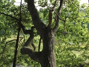 Rachel Carson’s National Wildlife Refuge