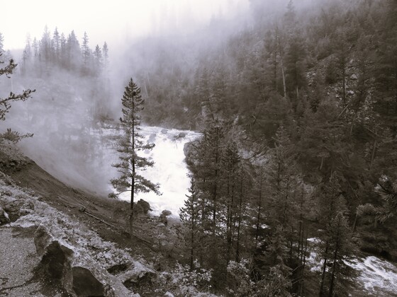 Yellowstone National Park