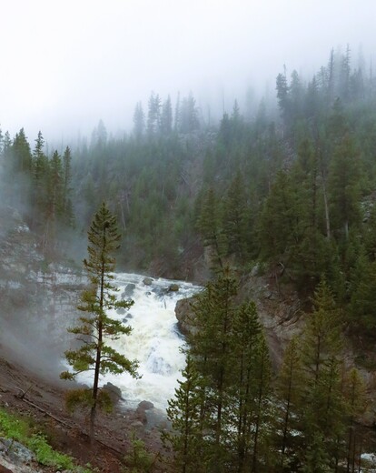 Yellowstone National Park
