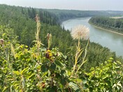 Summer on the North Saskatchewan River 