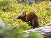 Rocky Mountain National Park