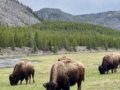 Yellowstone National Park