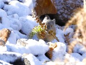 Rocky Mountain National Park