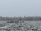 Grand Teton National Park