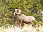 Rocky Mountain National Park