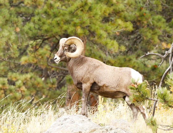Rocky Mountain National Park