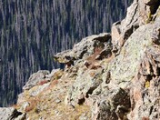 Rocky Mountain National Park