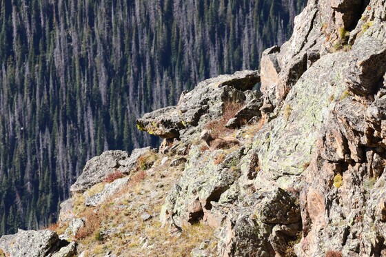 Rocky Mountain National Park