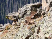 Rocky Mountain National Park