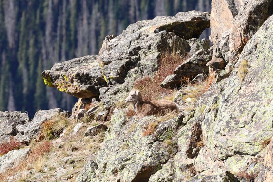Rocky Mountain National Park